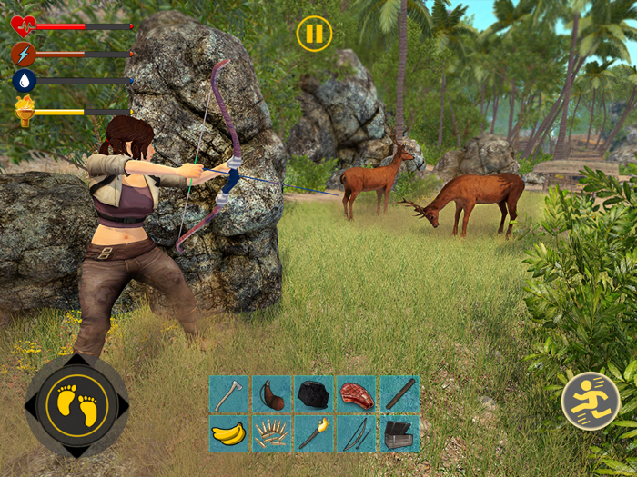 Last Island Survival Game