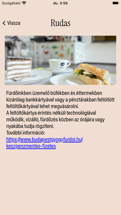 BudapestSpas Screenshot