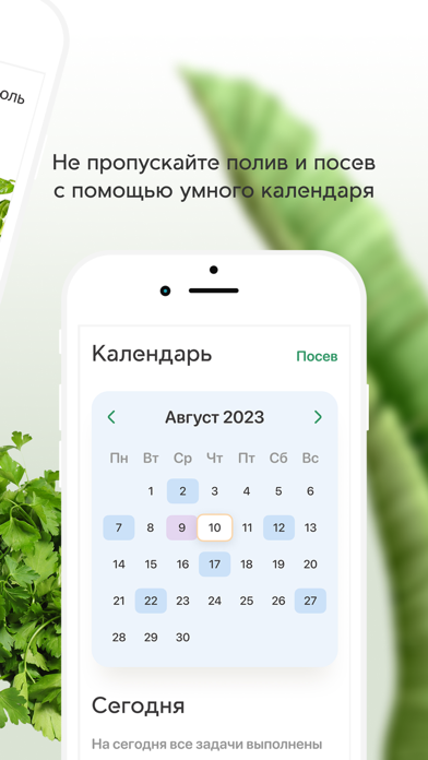 Plant Push Screenshot