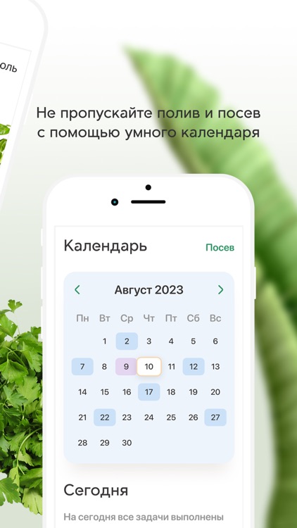 Plant Push