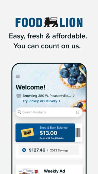 Food Lion Screenshot