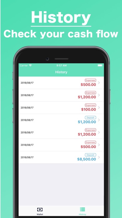 Cash / Wallet Management Screenshot