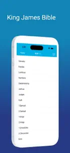 Offline KJV Holy Bible Prayers screenshot #1 for iPhone