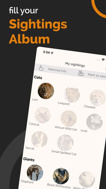 Etosha App - Namibia