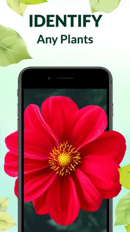 Game screenshot Wow Plant Identifier - AI Care mod apk