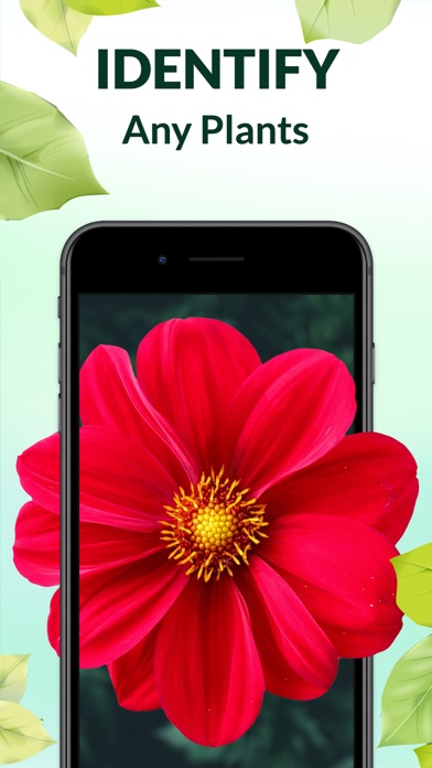 Wow Plant Identifier - AI Care Screenshot