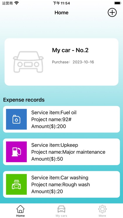Automobile expense statistics