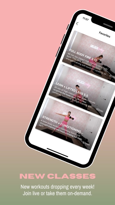 Lindsey Harrod Fitness Screenshot