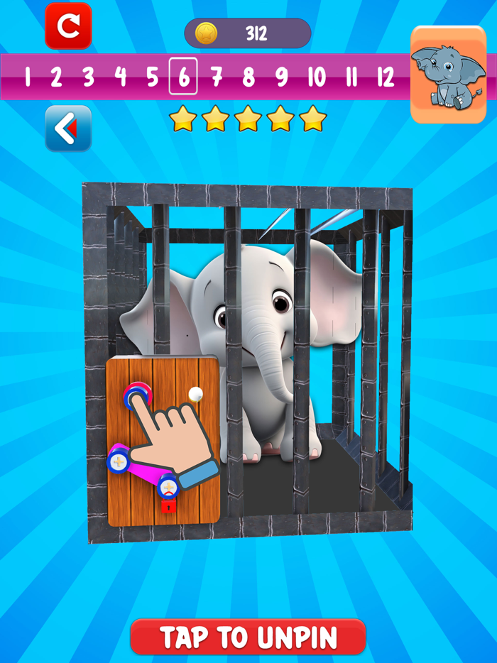 Screw Pin Puzzle Bolt Master