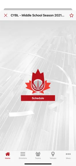 Game screenshot Canadian Youth Basketball hack