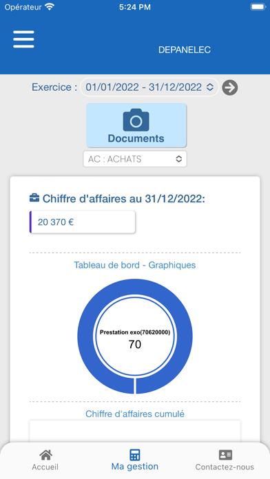 Connexens Audit International Screenshot