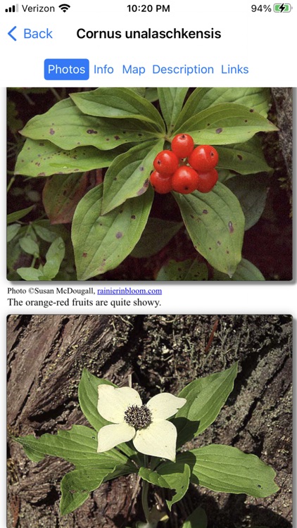 Alaska Wildflowers North screenshot-3