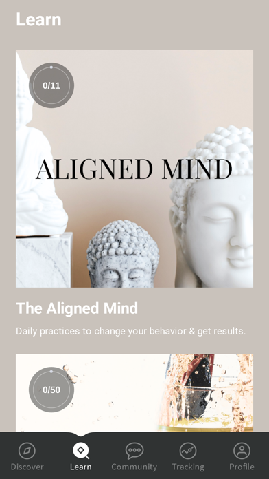ALIGNED MIND Screenshot