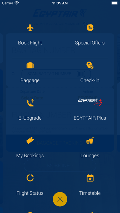 EGYPTAIR Screenshot