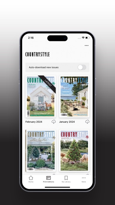 Screenshot of Country Style