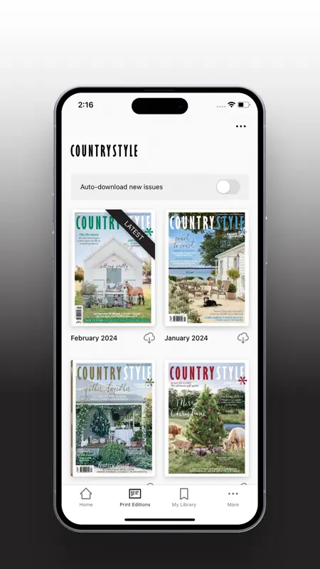 Country Style screenshot 3 of 8