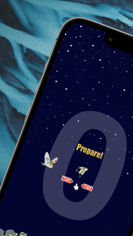 #1. Wise Flyer (iOS) 由: Blaine Miller