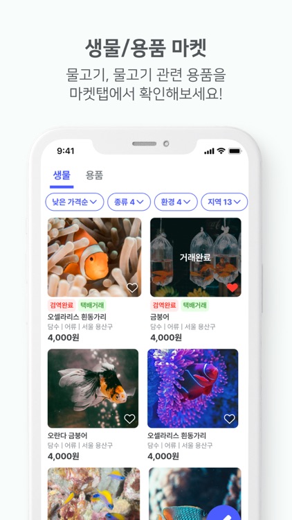 관심 - 관상어에 진심 screenshot-4