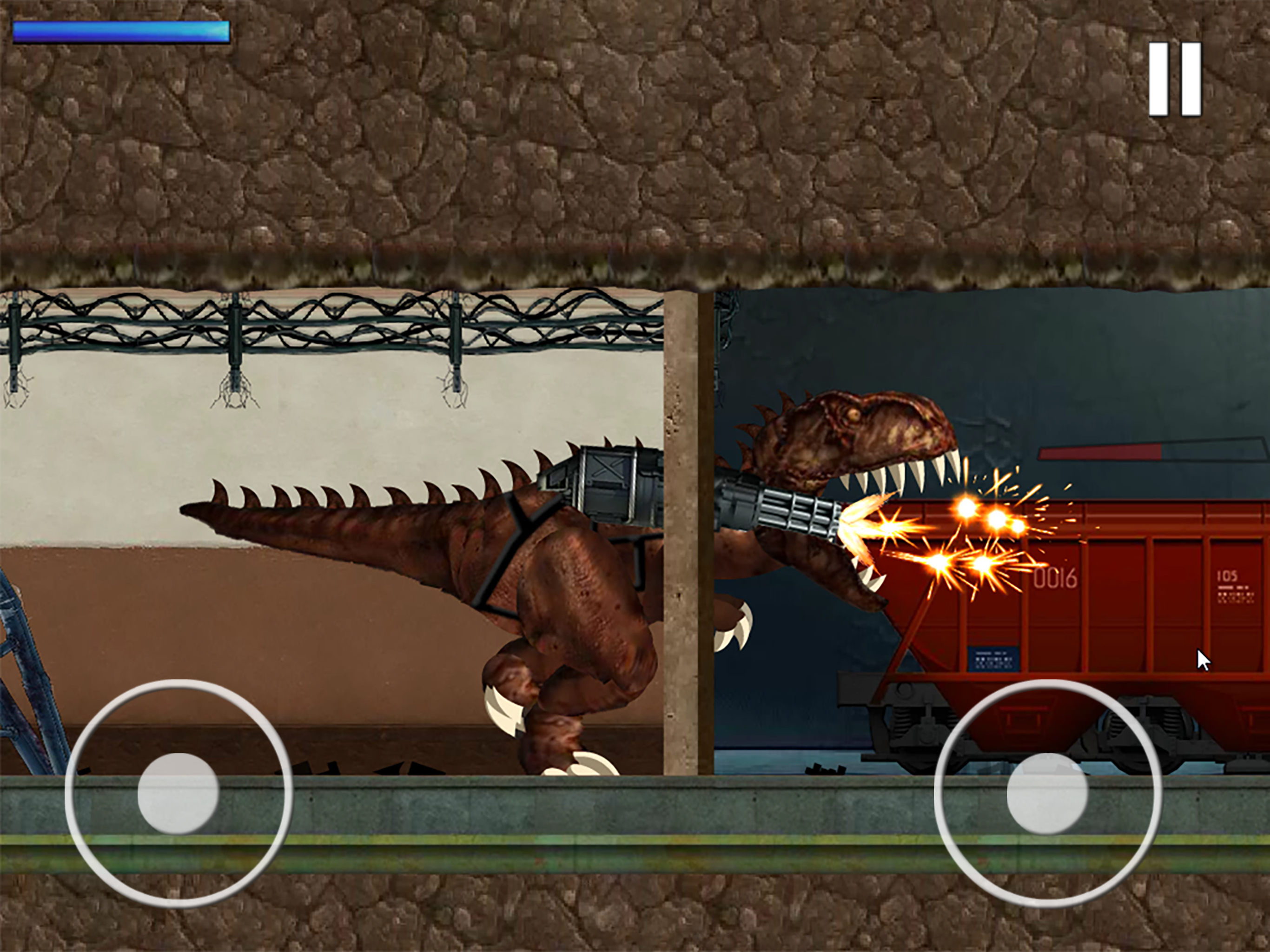 Mexico Rex