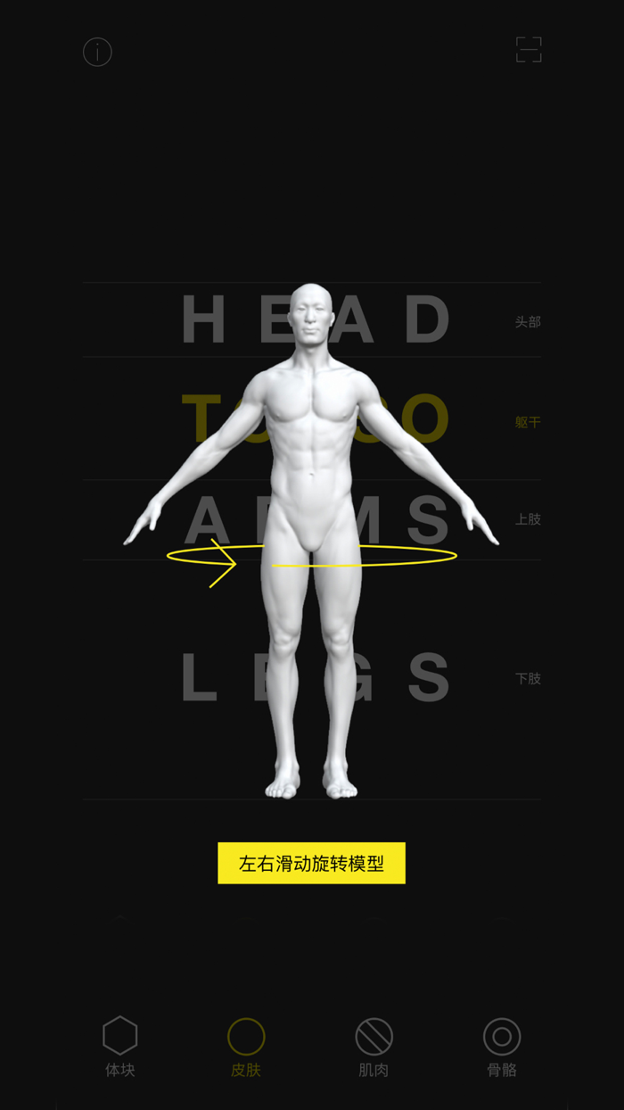 艺用人体解剖教程