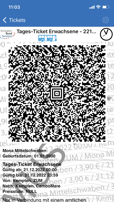 VVM/mona Ticket Screenshot