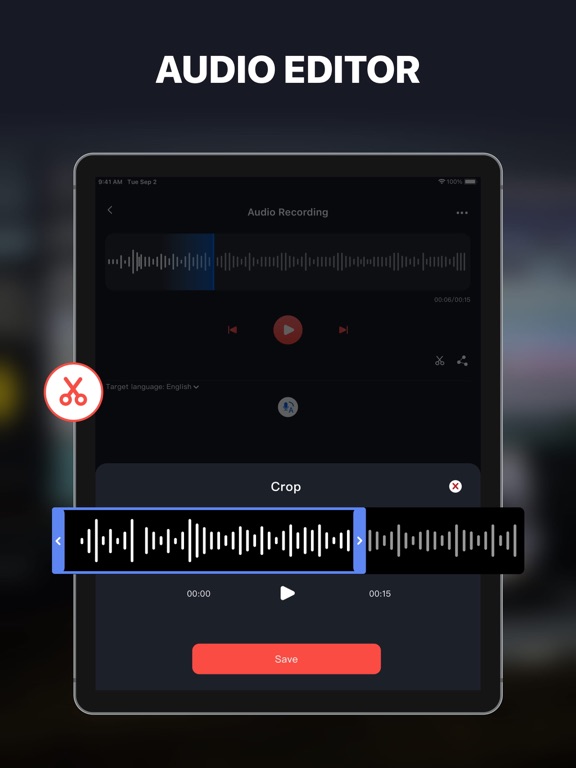 Dictaphone - Voice Recorder . iPad screenshot 4 - Business app