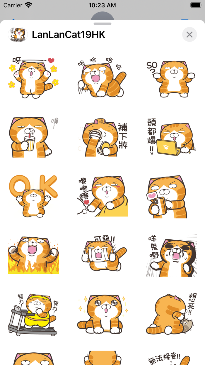 白爛貓19-動激動HK