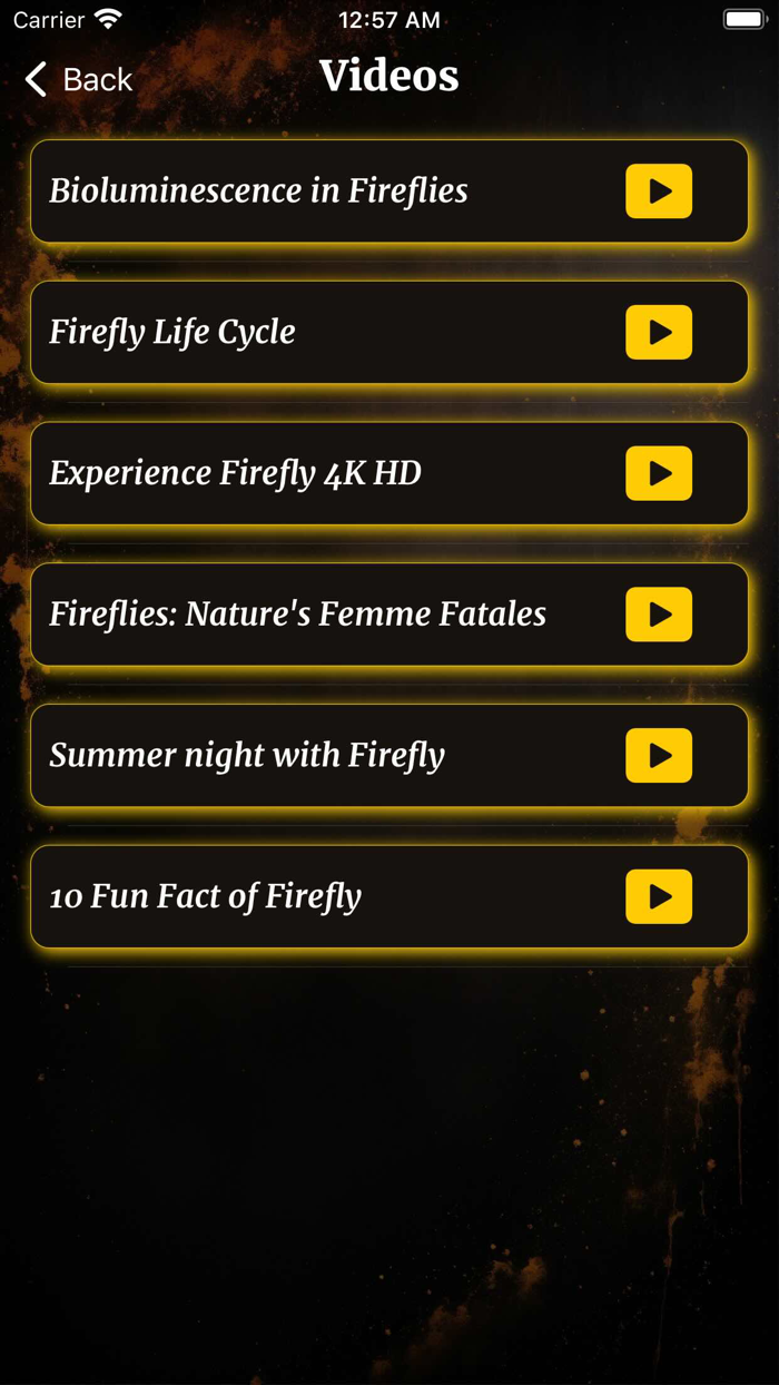 Fire Flyte  Fire Fly Explorer