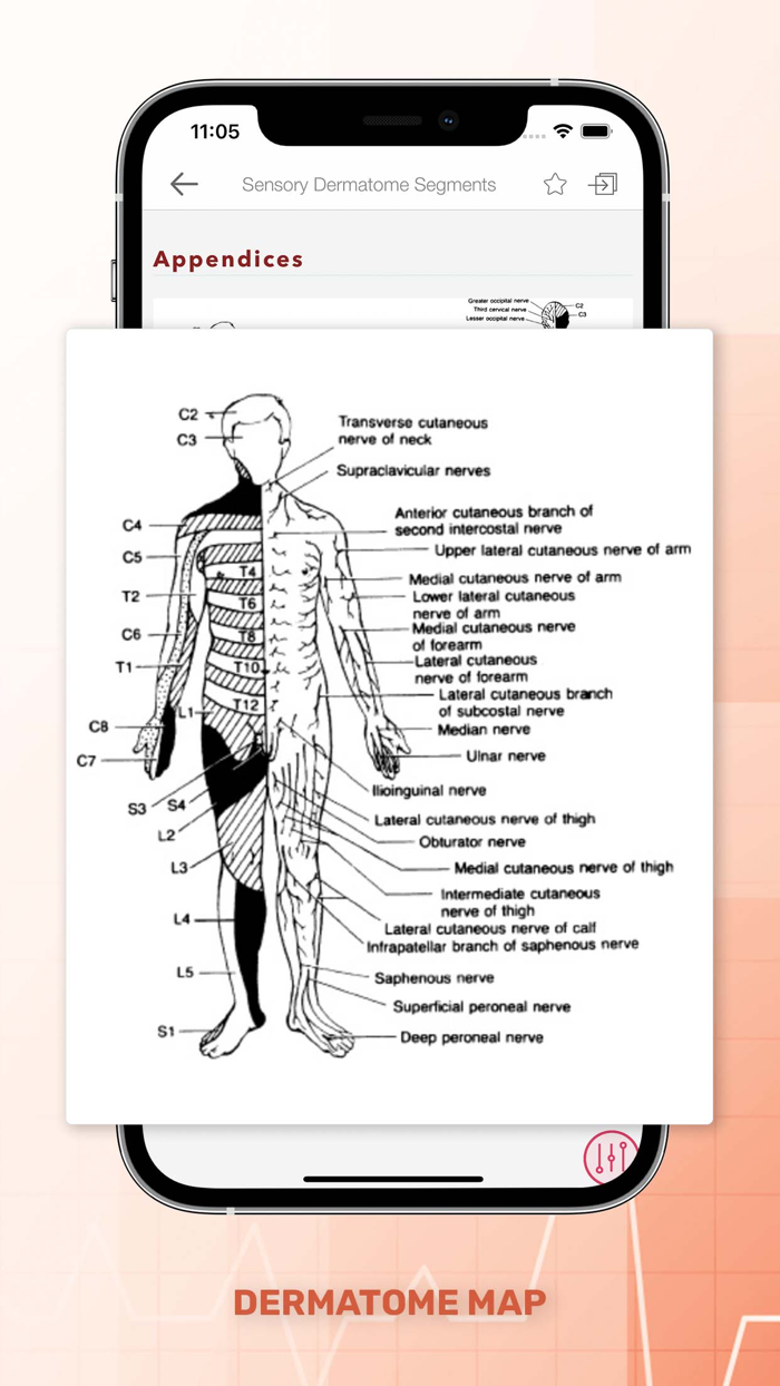 5 Minute Emergency Medicine