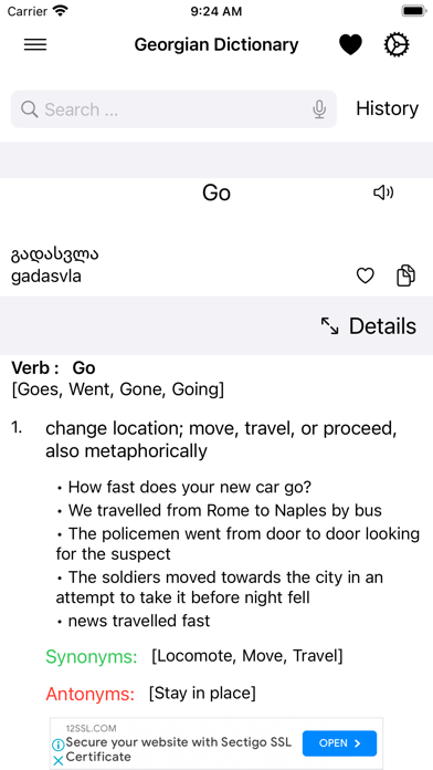 Smart Georgian Dictionary Screenshot