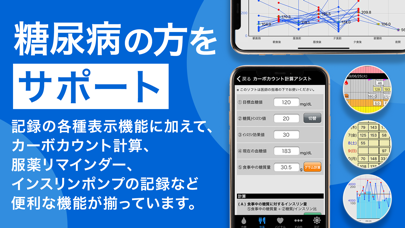 スマートe-SMBG 糖尿病 血糖値 血圧管理のおすすめ画像5