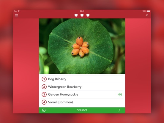 Wild Berries and Herbs LITE iPad app afbeelding 4