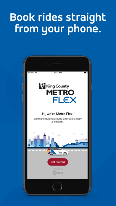 Metro Flex Screenshot