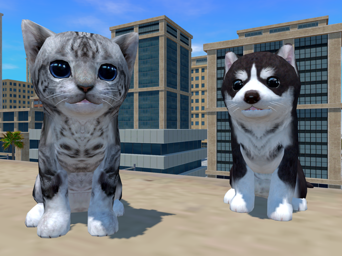 Cute Cat And Puppy World