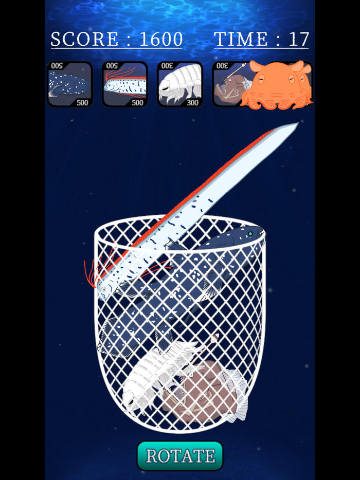 All-You-Can-Pack Sea Creatures