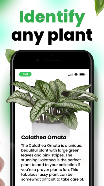 Plantica - Plant Identifier