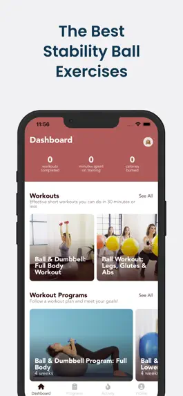 Game screenshot Stability Ball Workouts mod apk