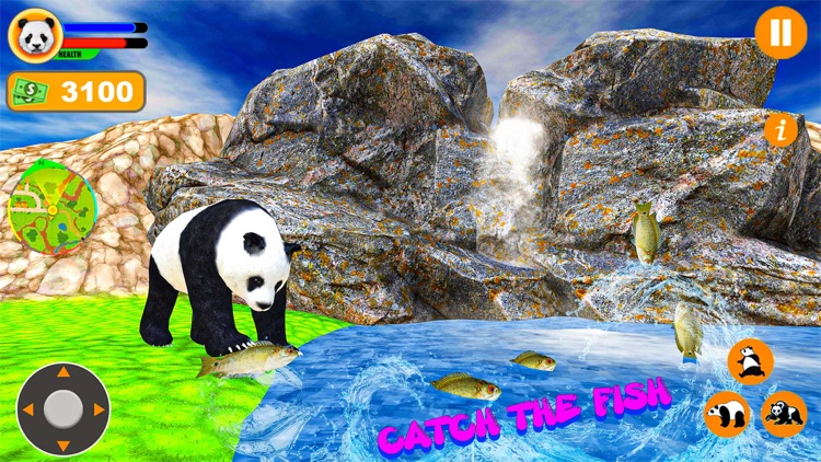 Panda Simulator 3D Animal Game screenshot-3