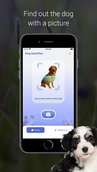 Dog Scanner - Puppy IDのおすすめ画像3