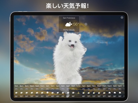 犬の天気ライブのおすすめ画像1