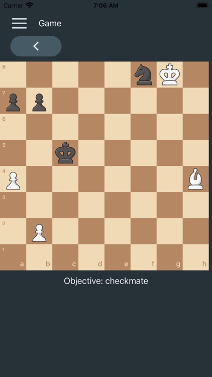 Chess Trainer Pro