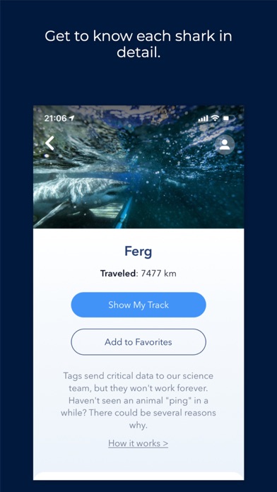 OCEARCH Shark Trackerのおすすめ画像3