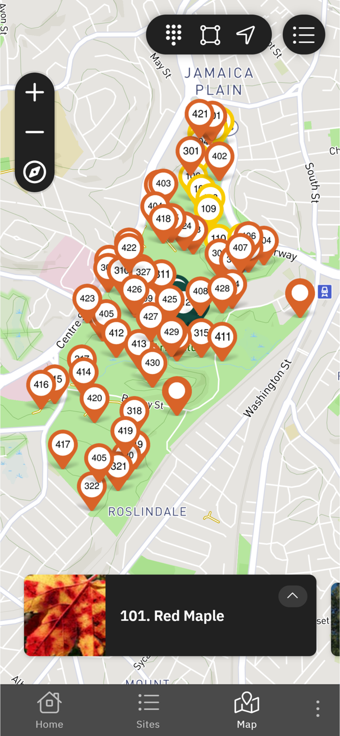 Expeditions Arnold Arboretum