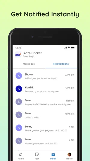 Blaze Cricket screenshot 3