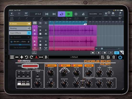 Screenshot #6 pour 501 Chorus Echo