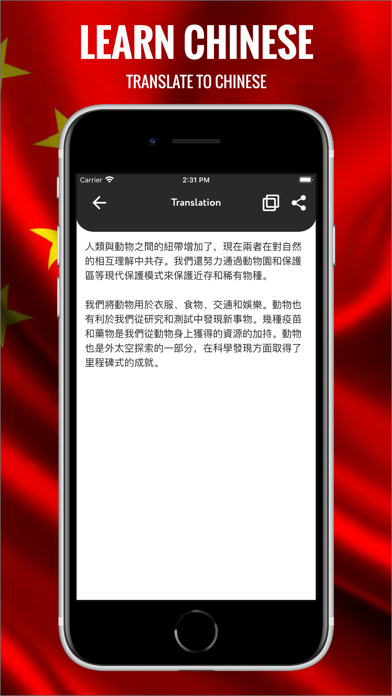 Chinese Visual Vocabulary Screenshot