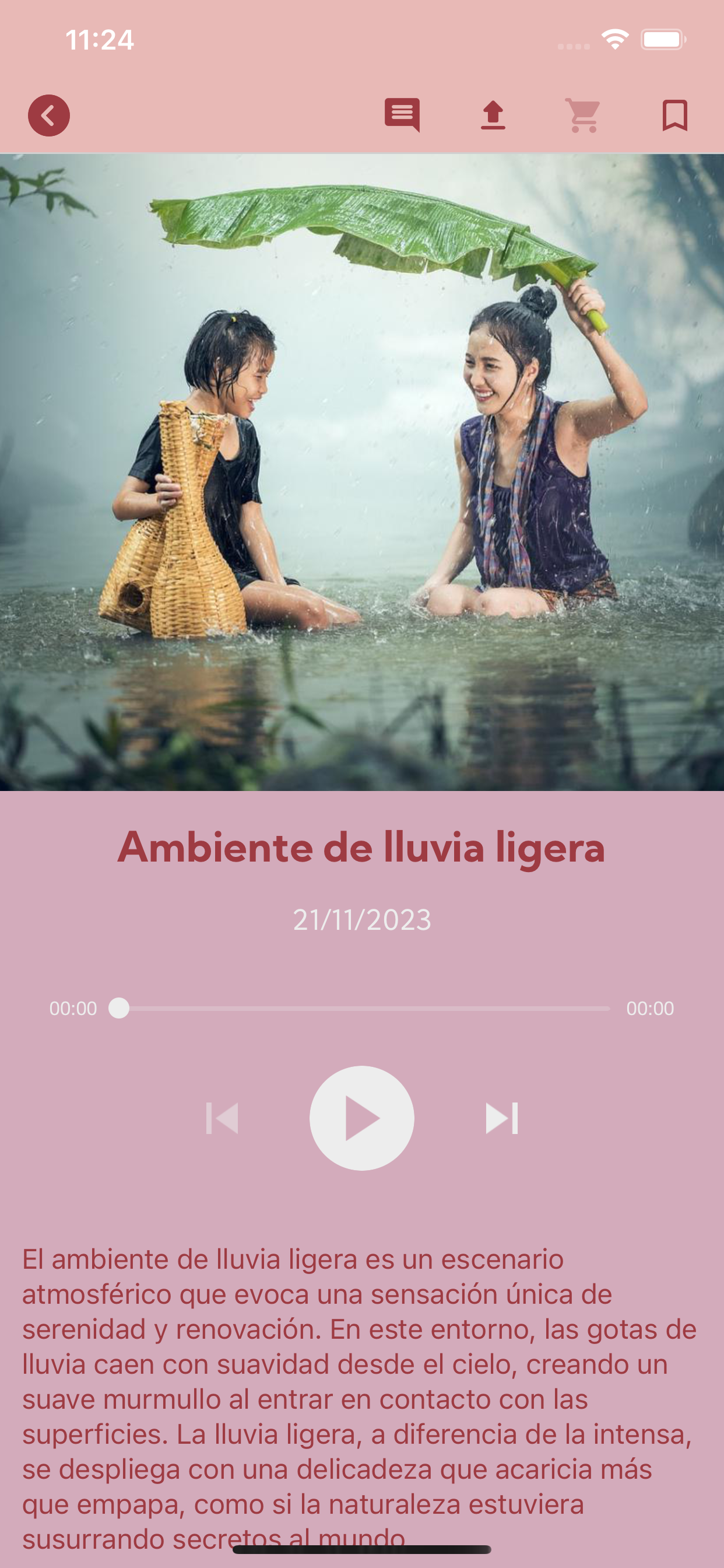 Meditando Ando