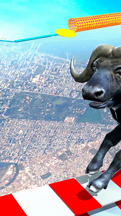 Epic Cow Mega Ramp Run