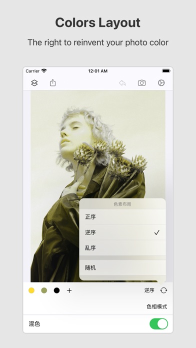 Picsso - colorize the photo Screenshot