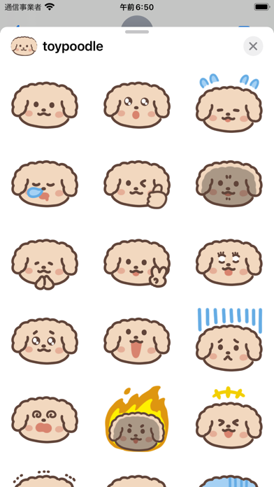 toy poodle sticker Screenshot